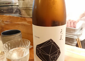 alt 1