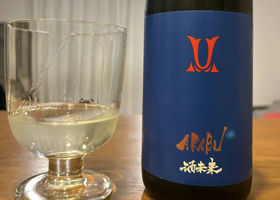 alt 1