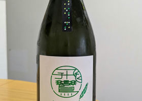 alt 1