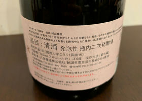 alt 3