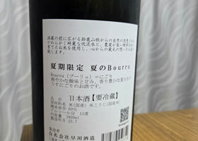 alt 1