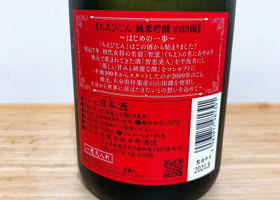 alt 3