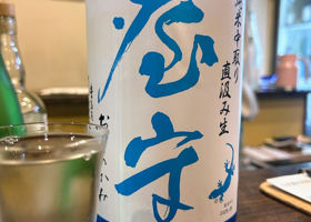 alt 1