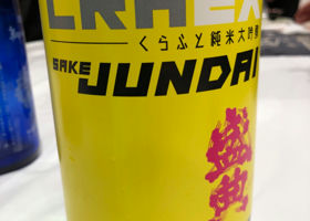 alt 1
