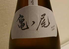 alt 3