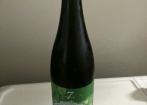 alt 1