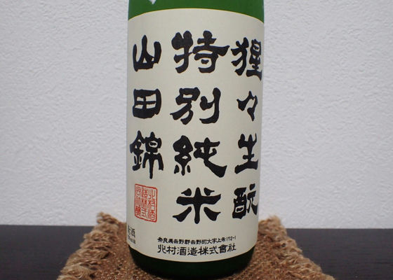 alt 1