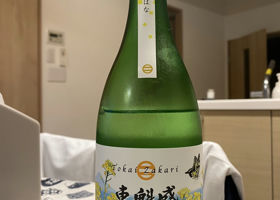 alt 1