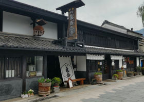 alt 4