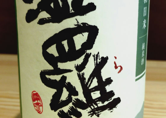 alt 1