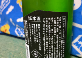 alt 3