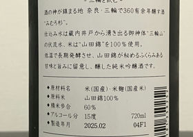 alt 3