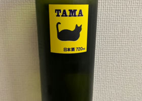 TAMA チェックイン 1