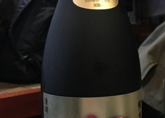 alt 1