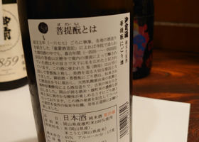 alt 3