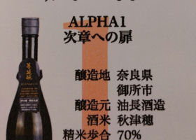 alt 3