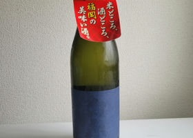 alt 1