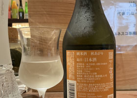 alt 3