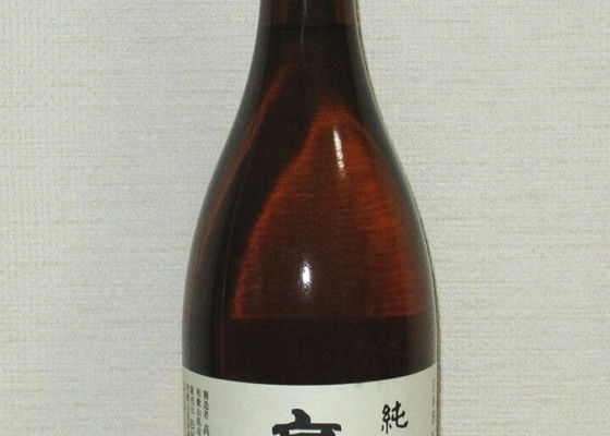 alt 1