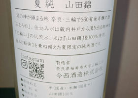 alt 3