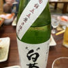 Shiragiku 2
