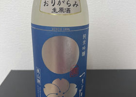 alt 1