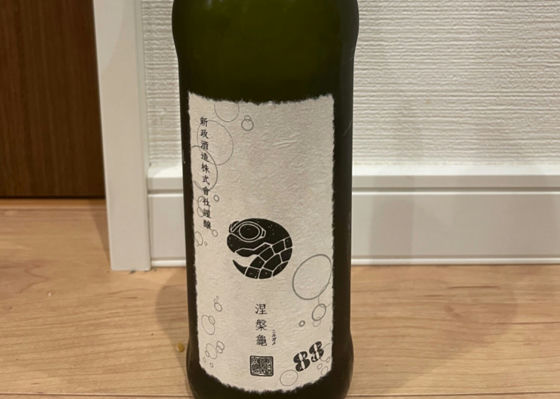 新政