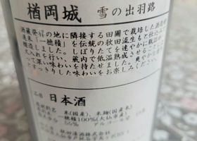 alt 1