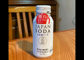 alt 1