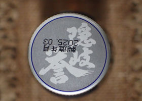 alt 4