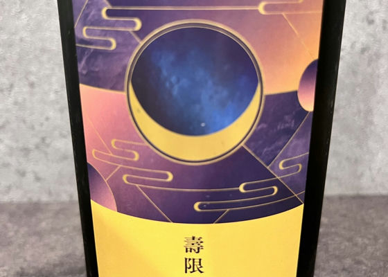alt 1