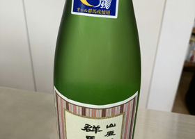 alt 2