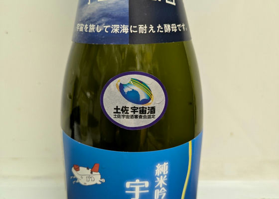 alt 1