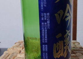 alt 3