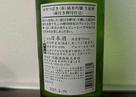 alt 3