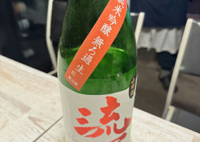 alt 1