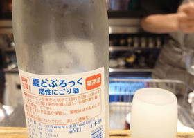 alt 1