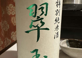 alt 2