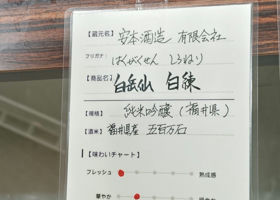 alt 4