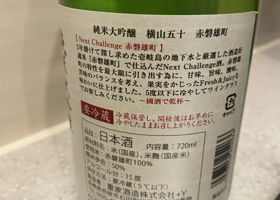 alt 3