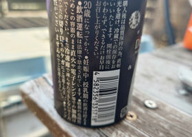 alt 3