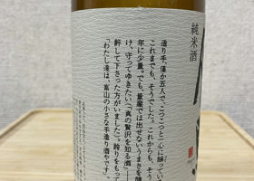 alt 3