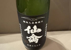 alt 1