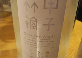 alt 1
