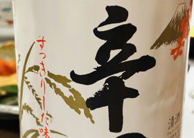 alt 1