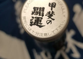 alt 3