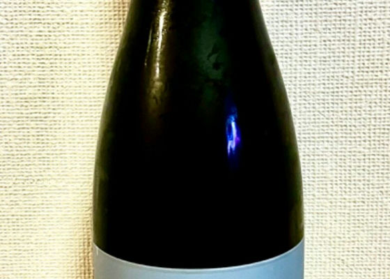 alt 1