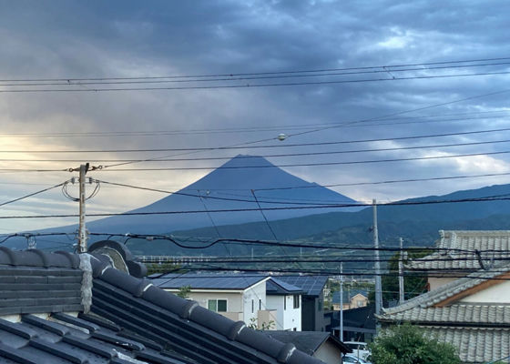 武の井