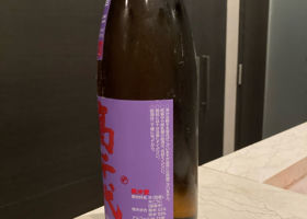 高千代 チェックイン 3