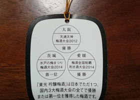 alt 3